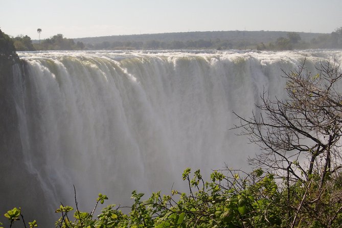 Victoria Falls And Chobe - Day 3: A long wildlife day in Chobe National Park
