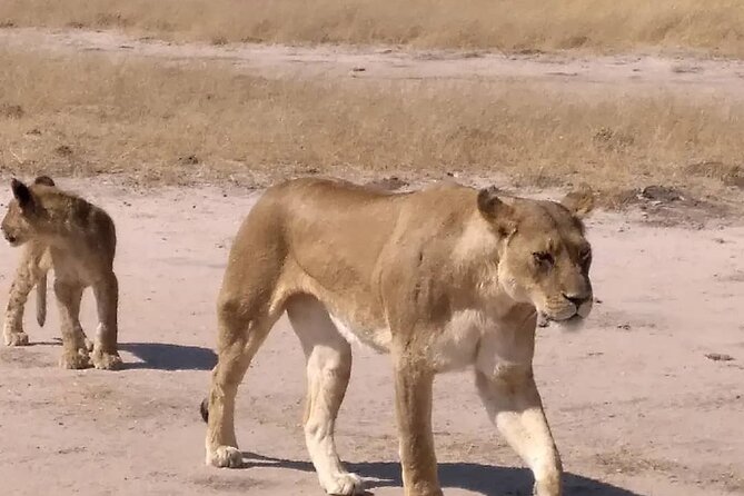Victoria Falls And Chobe - Booking details worth checking before you go