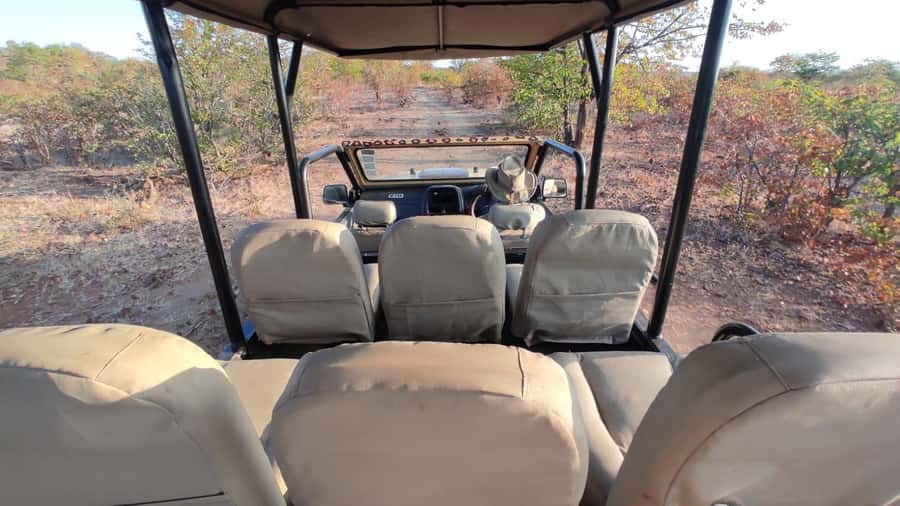 Victoria Falls: Baobab Safari - Sunrise and Mid Morning - The vehicle, guide, and group size