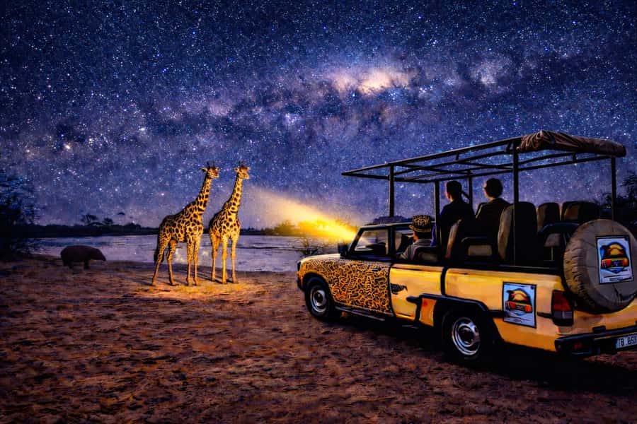 Victoria Falls: Bush Experience and Stargazing D-F-ES-GB - Stopping under the stars