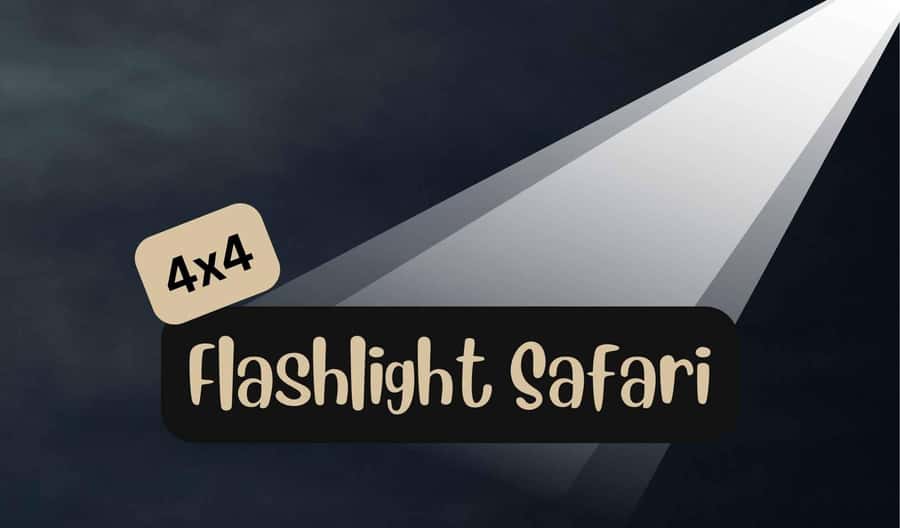Victoria Falls: Bush Experience and Stargazing D-F-ES-GB - Practical details that shape the evening