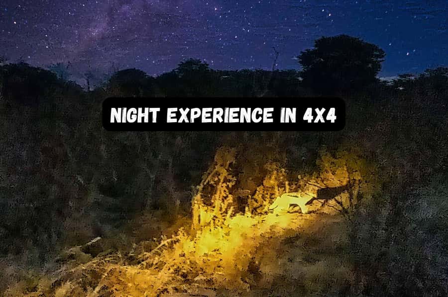 Victoria Falls: Bush Experience and Stargazing D-F-ES-GB - What the two-hour route includes