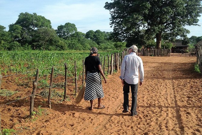 Victoria Falls Cultural Private Village Tour - Ilala Lodge adds a polished lunch stop