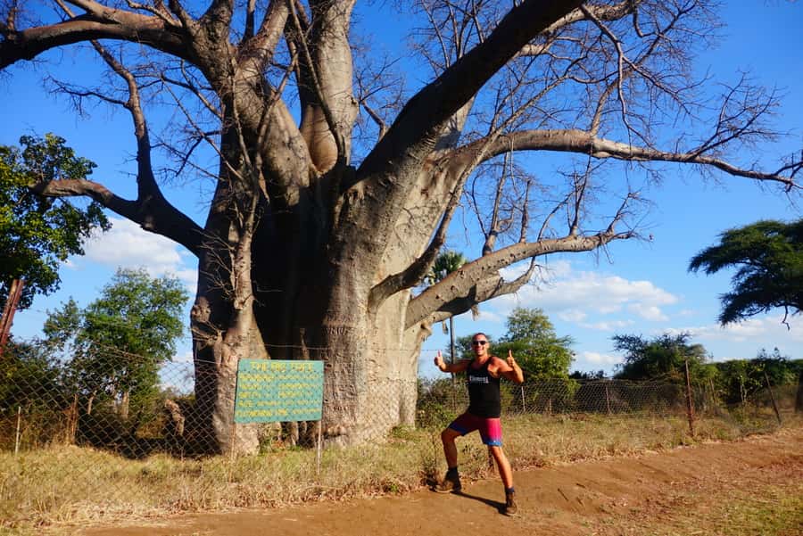 Victoria Falls: Cultural Tour with High Tea - Guides, transport, and the pace of the day