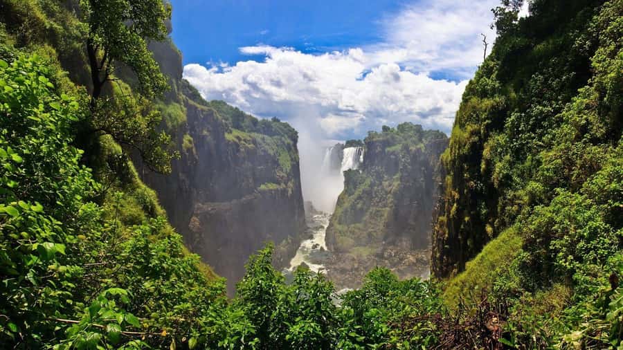 Victoria Falls: Cultural Tour with High Tea - The rainforest walk and the force of the falls