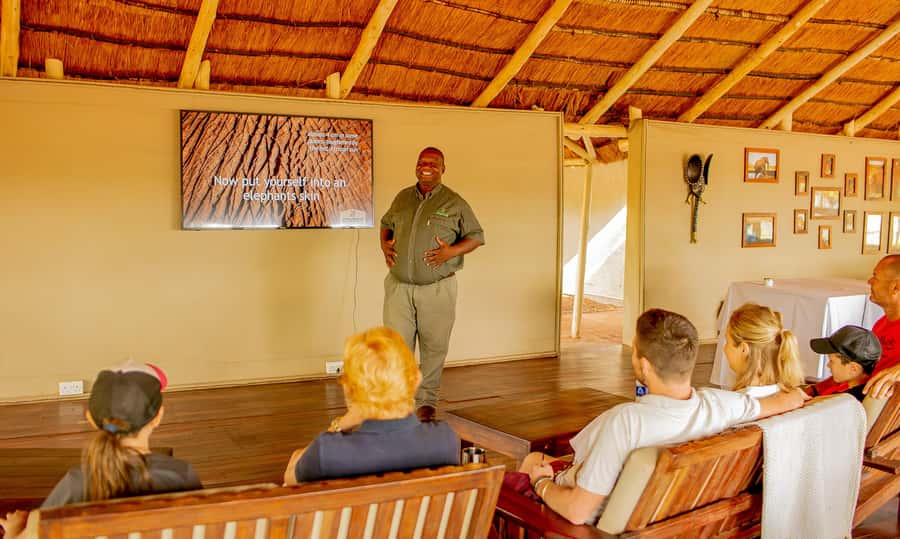 Victoria Falls: Elecrew Through The Eyes Of An Elephant - Learning to see through an elephant’s senses