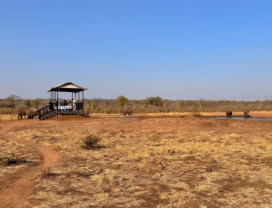Victoria Falls: Elecrew Through The Eyes Of An Elephant - Booking, cancellation, and practical value