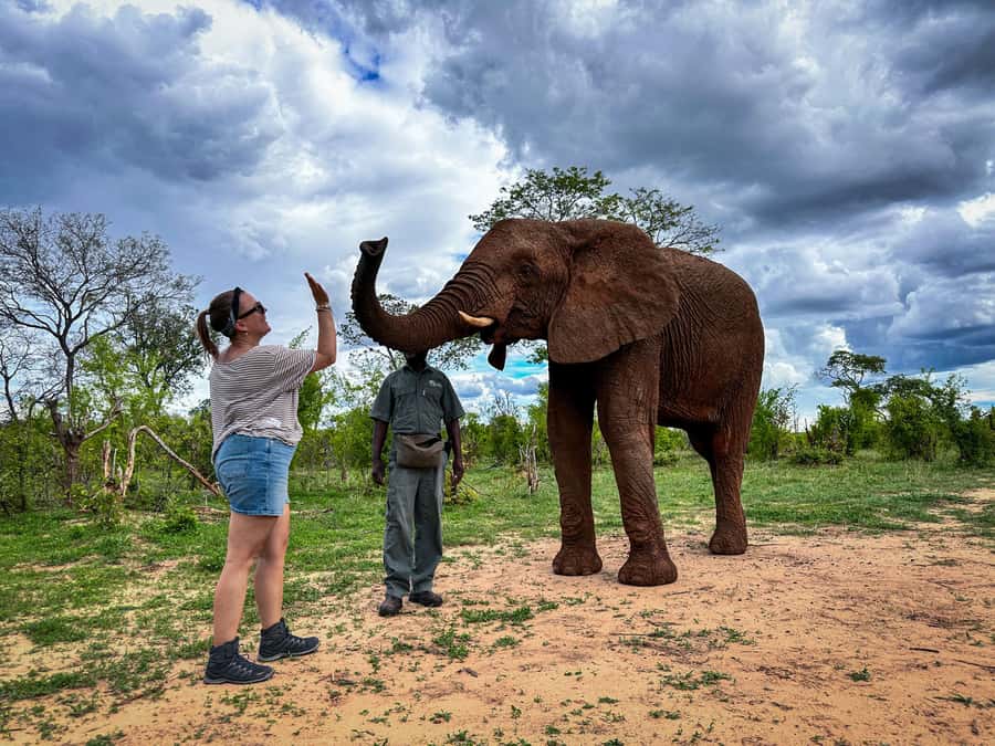 Victoria Falls: Elecrew Through The Eyes Of An Elephant - The short road from Victoria Falls to Jafuta Lodge