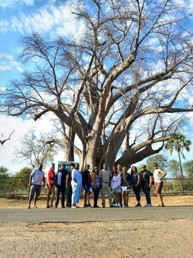 Victoria Falls Full Day Experience - Why this one-day Victoria Falls plan works