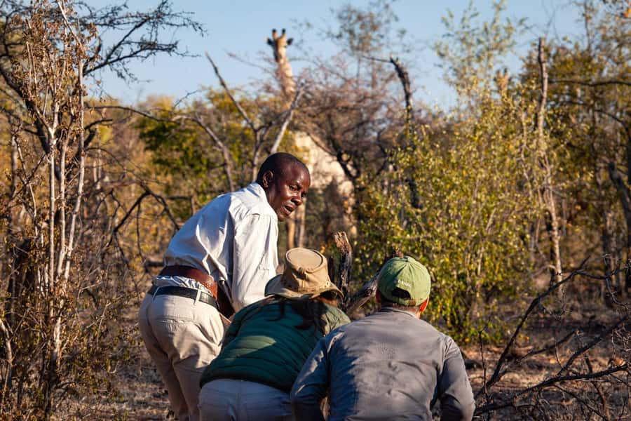 Victoria Falls: Game Walk in the Zambezi National Park - Why walking changes the safari