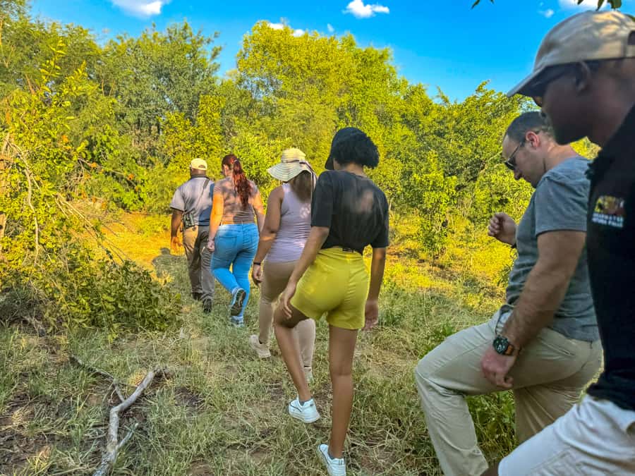 Victoria Falls: Game Walk in the Zambezi National Park - Two hours among woodland and savannah