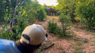 Game Walk in the Zambezi National Park