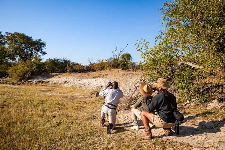 Victoria Falls: Game Walk in the Zambezi National Park - What the US$132 price includes