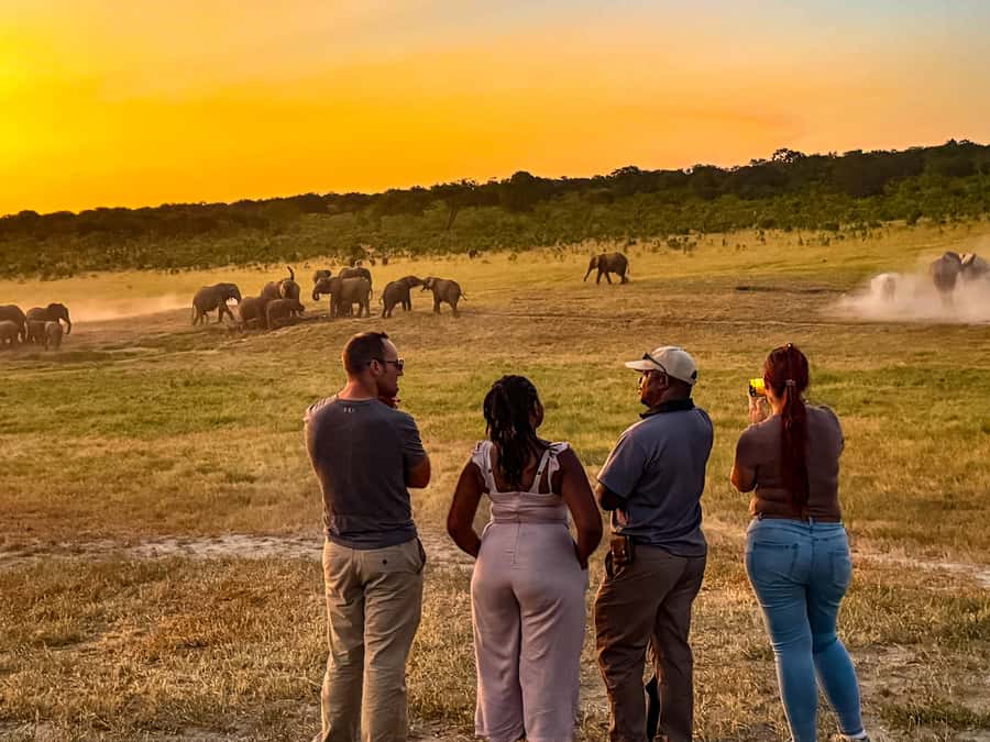 Victoria Falls: Game Walk in the Zambezi National Park - Booking, cancellation, and practical details
