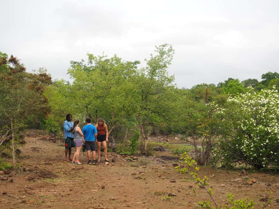 Victoria Falls Gorge Hike & Farm to Table Village Lunch - Who should book this hike