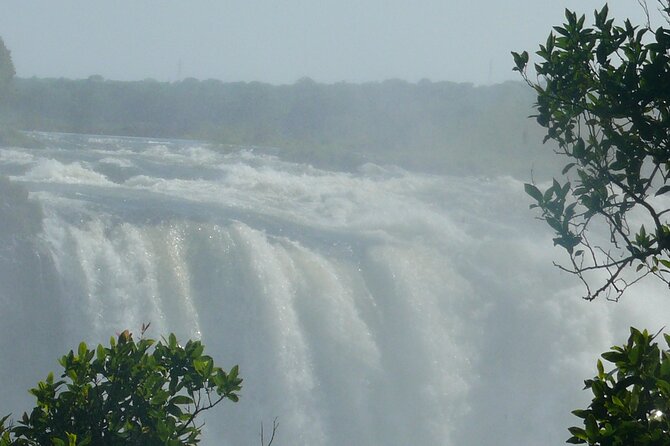 Victoria Falls Guided Tour - Timing, Pickup, and Private Group Benefits
