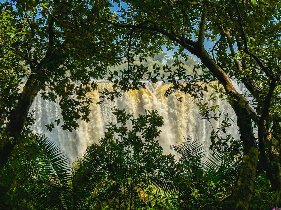 Victoria Falls: Guided Tour of the Victoria Falls - Why a guide helps at Victoria Falls