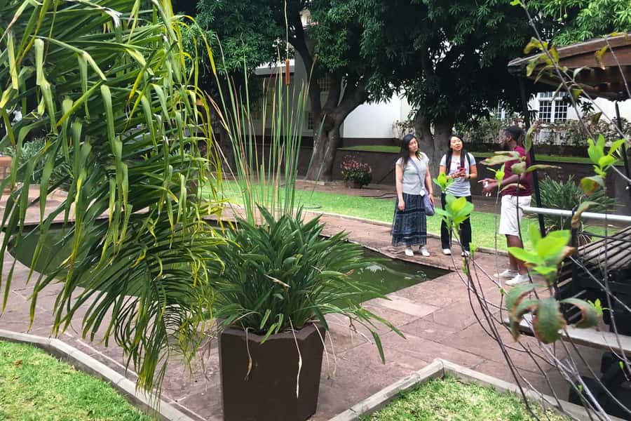 Victoria Falls Guided Tour with High Tea - Key points to know before booking
