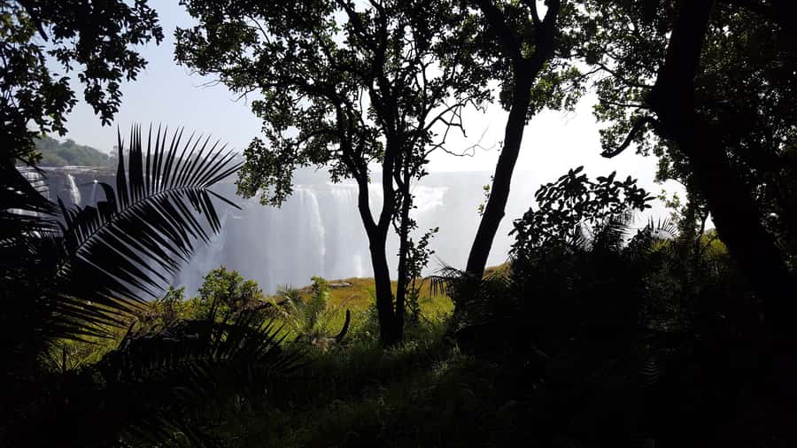 Victoria Falls: Guided Walking Tour - Main Falls, where water levels change the view