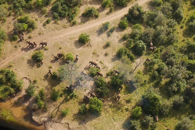 Victoria Falls Helicopter Tour - The 15-minute scenic flight