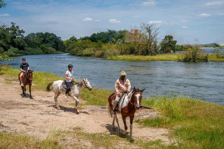 Victoria Falls National Park: Horseback Safari - Why horseback is a different kind of safari