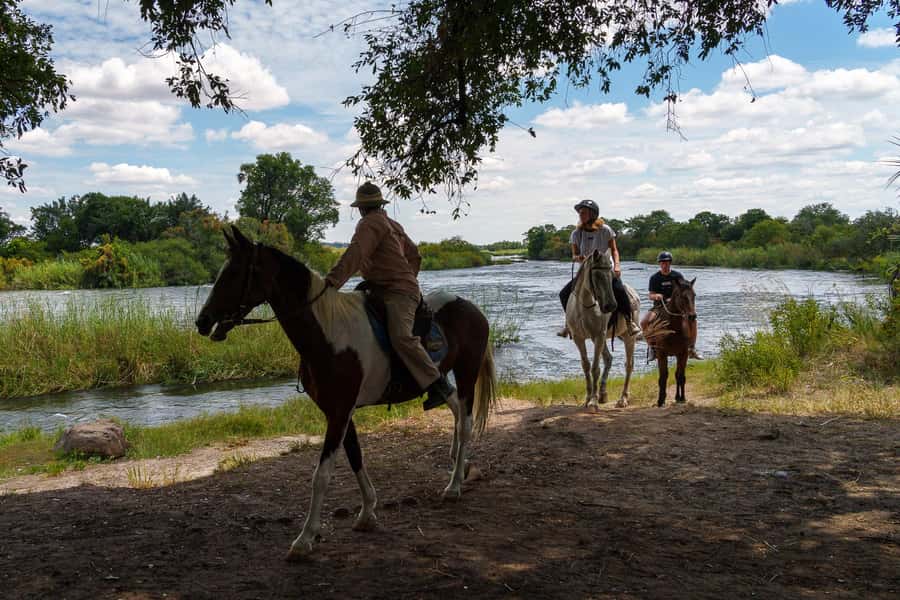 Victoria Falls National Park: Horseback Safari - Starting at AVANI Victoria Falls Resort