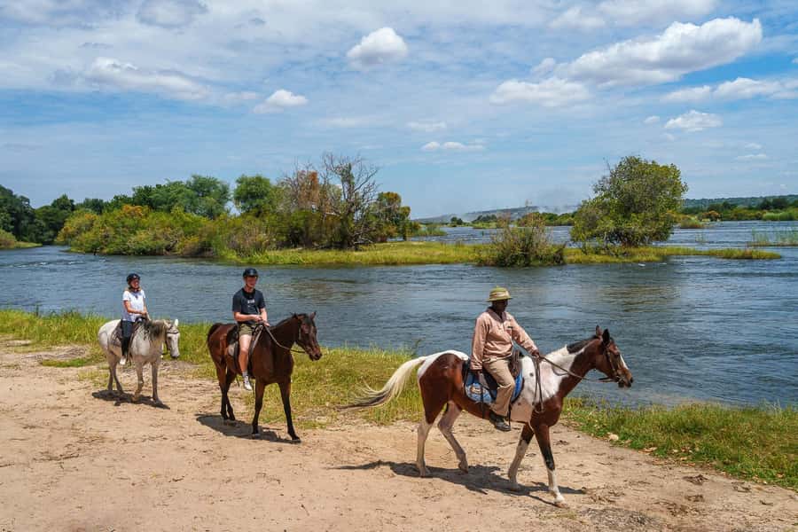 Victoria Falls National Park: Horseback Safari - Looking for elephant, buffalo, and rhino