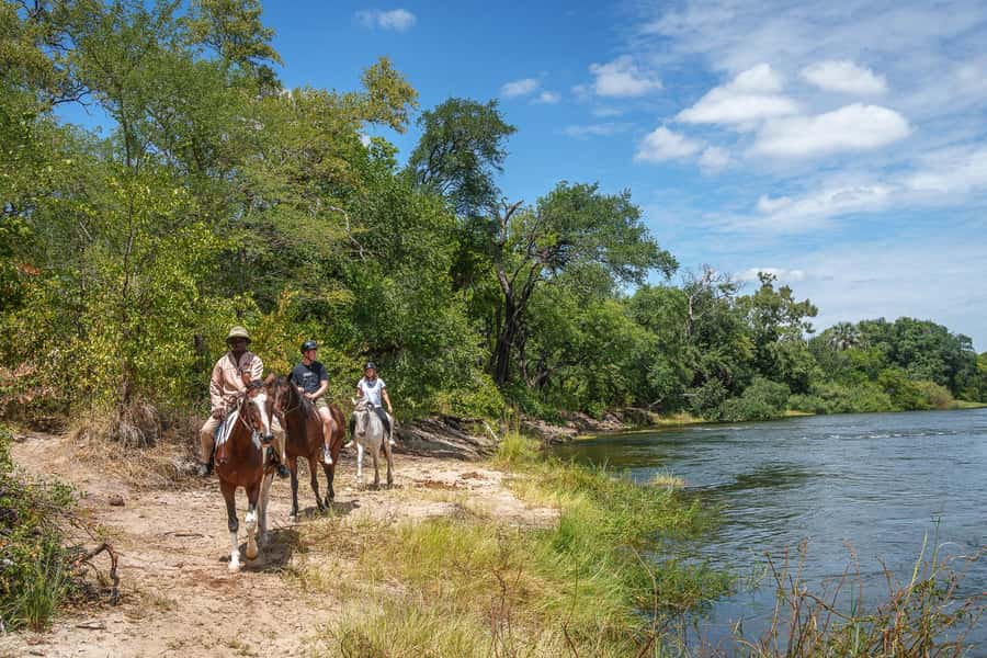 Victoria Falls National Park: Horseback Safari - Small group advantages and limits