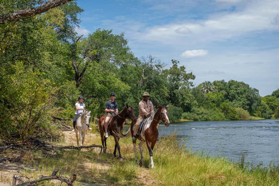 Victoria Falls National Park: Horseback Safari - What the strong feedback tells me