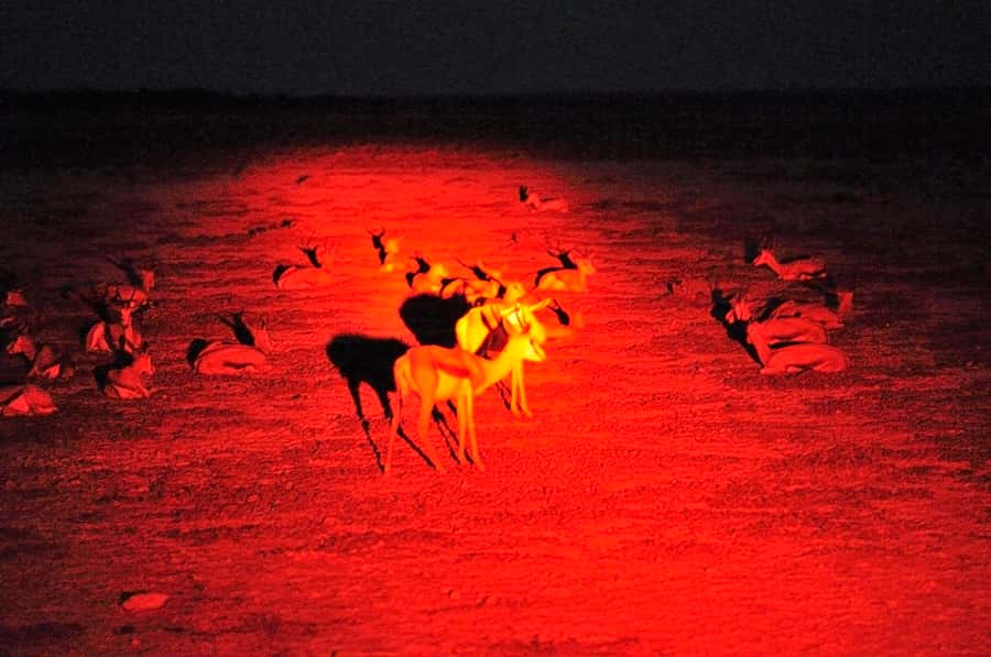 Victoria Falls: Night Game Drive and 3-Course Bush Dinner - Practical packing advice for the open 4x4
