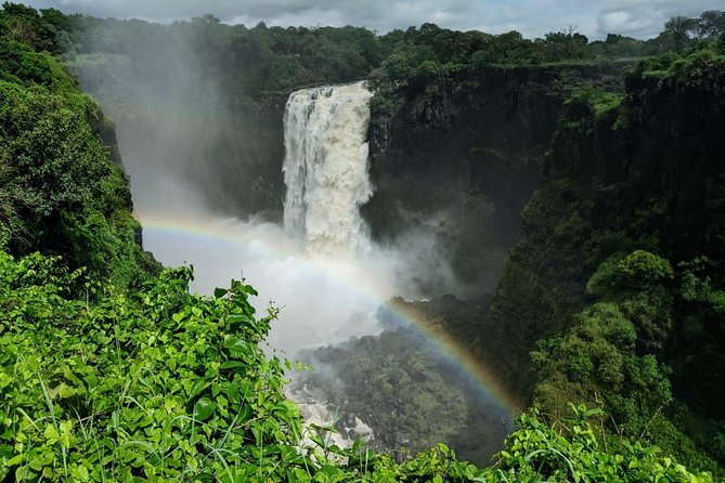 Victoria Falls Private Guided Sunrise Tour - Who will enjoy this early walk