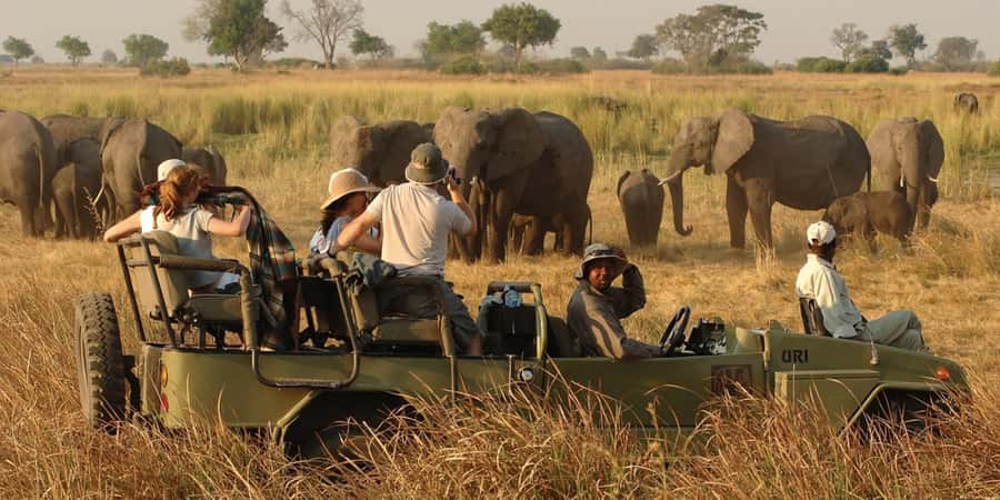 Victoria Falls Safari with Lunch and Sunset Cruise - A full day built around Victoria Falls