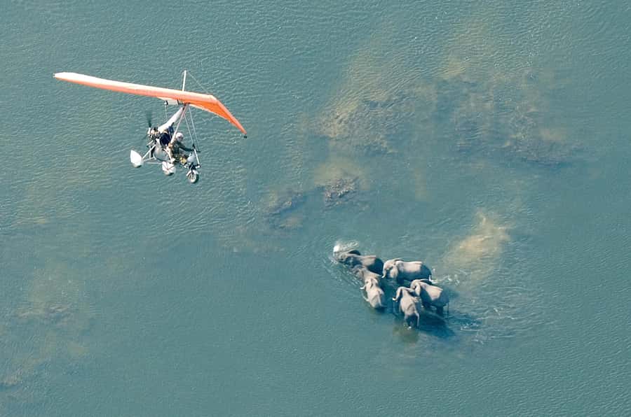Victoria Falls: Scenic Microlight Flight - Key points to know before you book