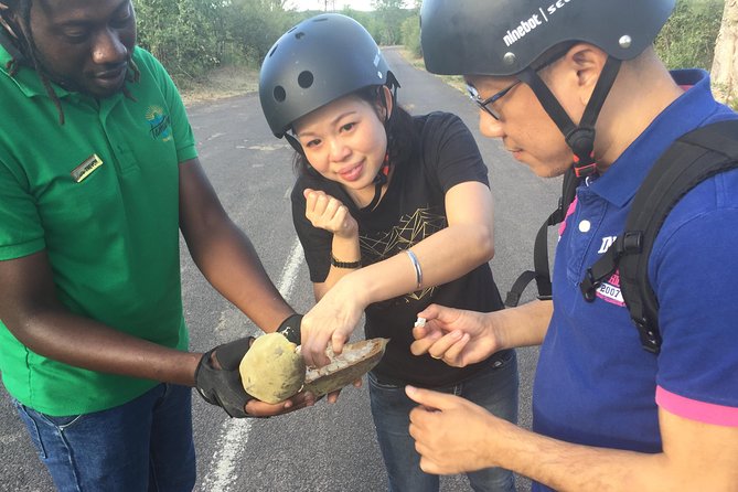 Victoria Falls Segway Tour - Who should book this ride