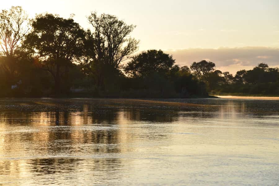 Victoria Falls: Sunrise Cruise on the Zambezi River - Transfers and the early morning schedule