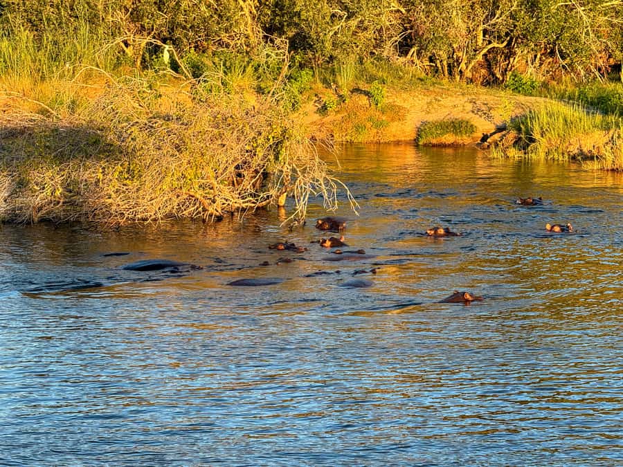 Victoria Falls: Sunset Cruise on the Zambezi River - Drinks, snacks, and the relaxed pace