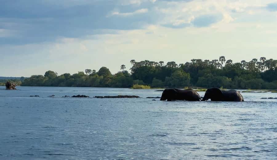 Victoria Falls: Sunset Cruise on the Zambezi River - The sunset itself, and what happens when clouds arrive