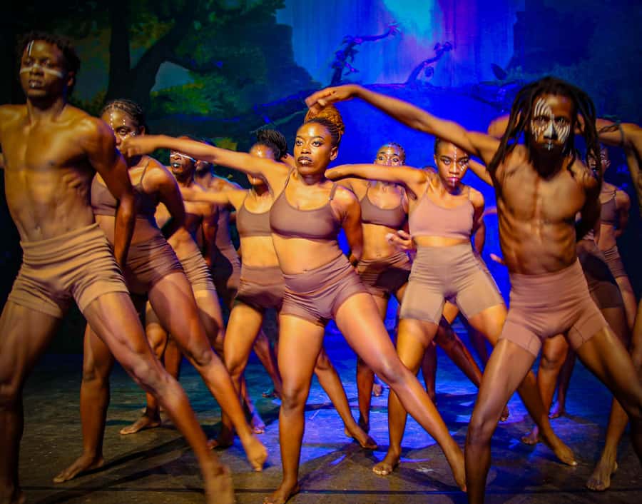 Victoria Falls:Theatre Simunye The Spirit of Africa,Zimbabwe - The cast photo opportunity after the show