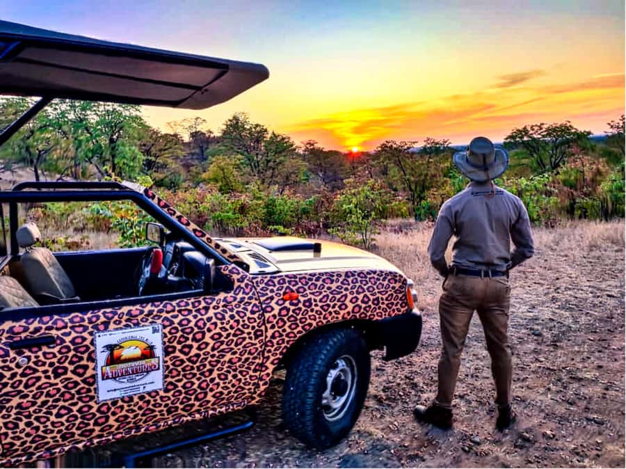 Victoria Falls: Vulture Safari and Bush Walk - Who should book this Victoria Falls outing