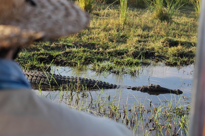 Victoria Falls: Whitewater Rafting + Chobe Safari Combo - Day two: Chobe by road, vehicle, and boat