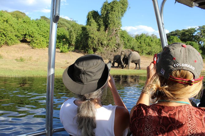 Victoria Falls: Whitewater Rafting + Chobe Safari Combo - Guides, organization, and group size