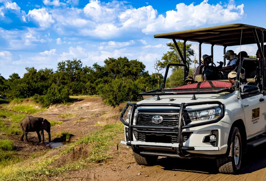 Victoria Falls: Zambezi National Park Game Drive - Leaving Victoria Falls for a Zambezi safari