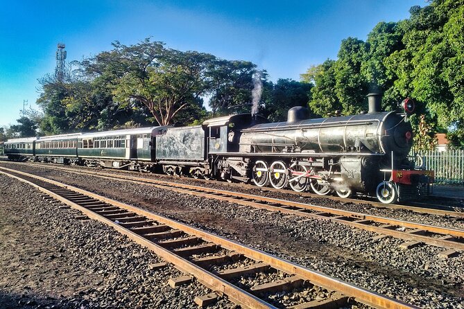 Walking Safari of Victoria Falls Town - What the guides add to the walk