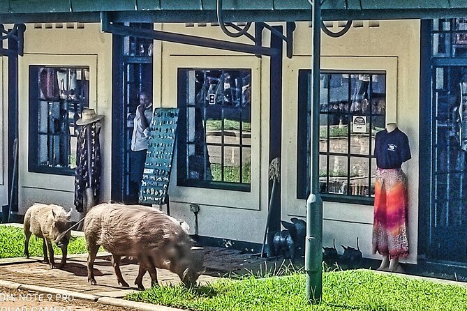 Walking Safari of Victoria Falls Town - Passing Kingdom Hotel and Great Zimbabwe design