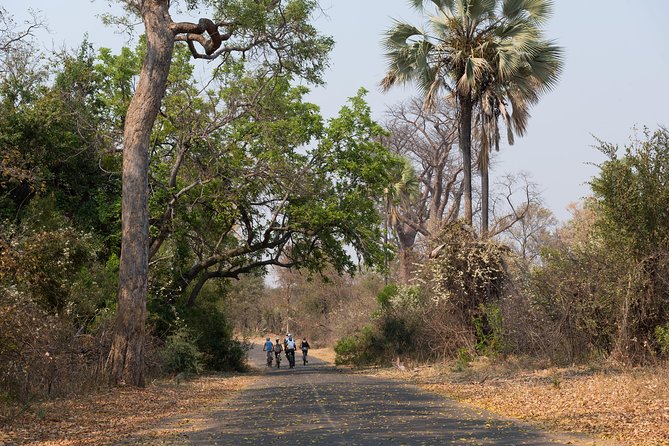 Wild Horizons Bike Tour (Zimbabwe) - The guides make the difference