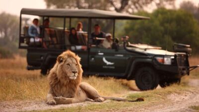 Zambezi 3hr Game Drive
