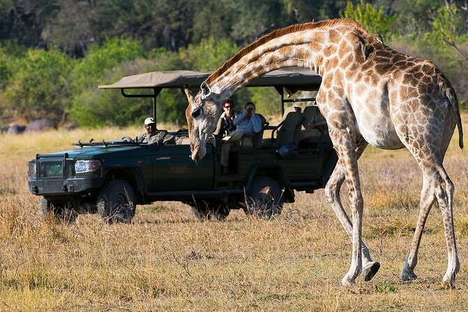 Zambezi National Park AM or PM Game Drive - Why this drive works well from Victoria Falls