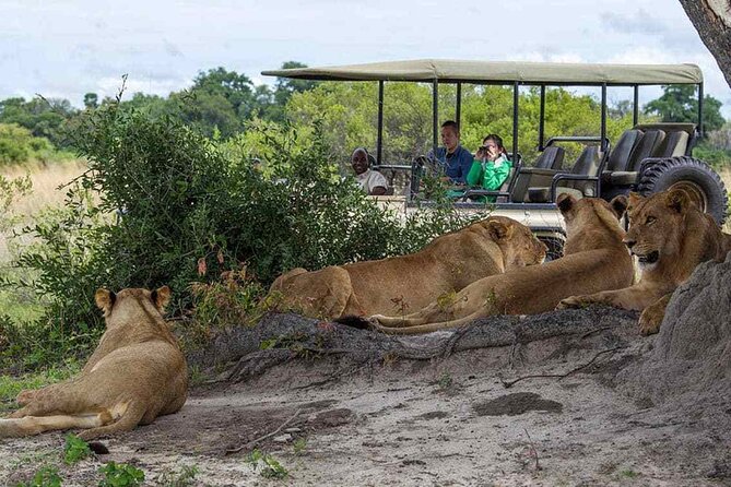 Zambezi National Park AM or PM Game Drive - The guide and small-group experience