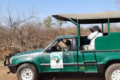 Zambezi National Park Private Wildlife Safari (4 – 10 hours)