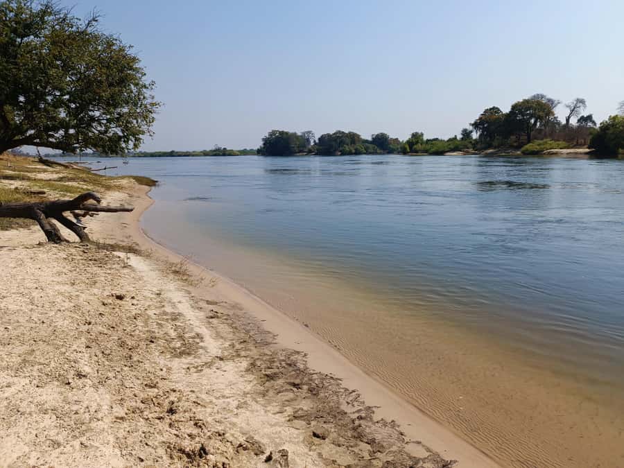 Zambezi National Park Private Wildlife Safari (4 - 10 hours) - The guide makes the difference